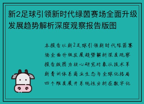 新2足球引领新时代绿茵赛场全面升级发展趋势解析深度观察报告版图
